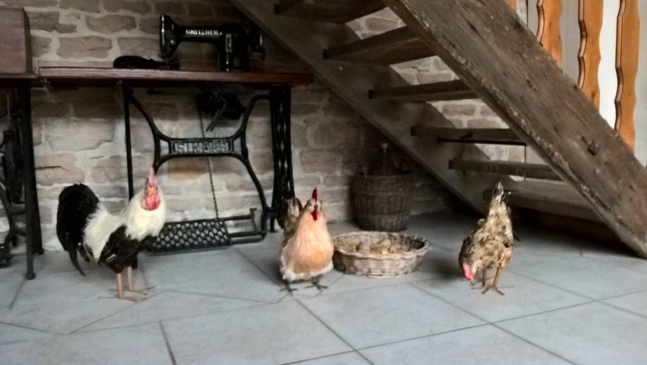 La Ferme Du Grand Faubourg Bed & Breakfast Pont-de-Vaux Exterior foto